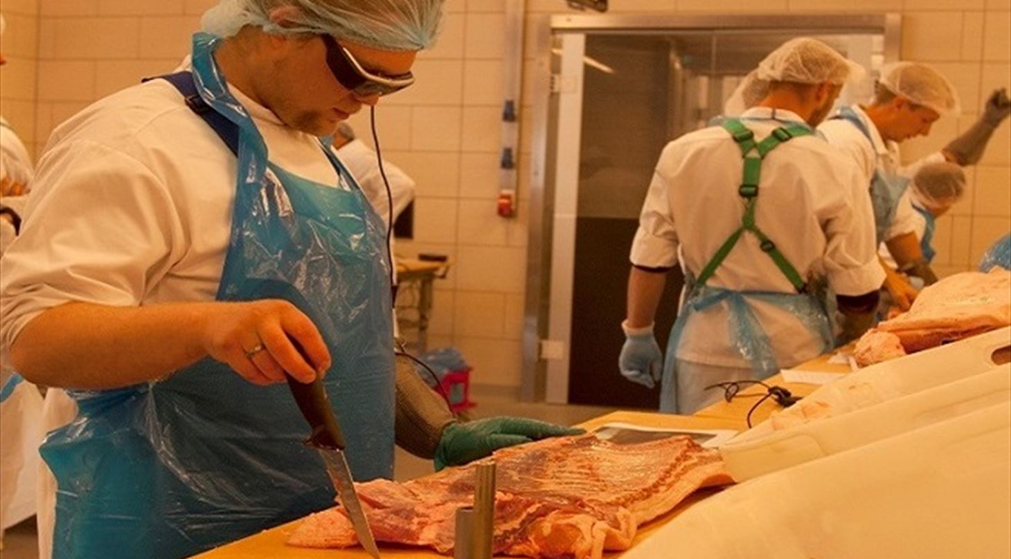 En operatør som benytter binokulars under trimmeforsøget på Slagteriskolen i Roskilde